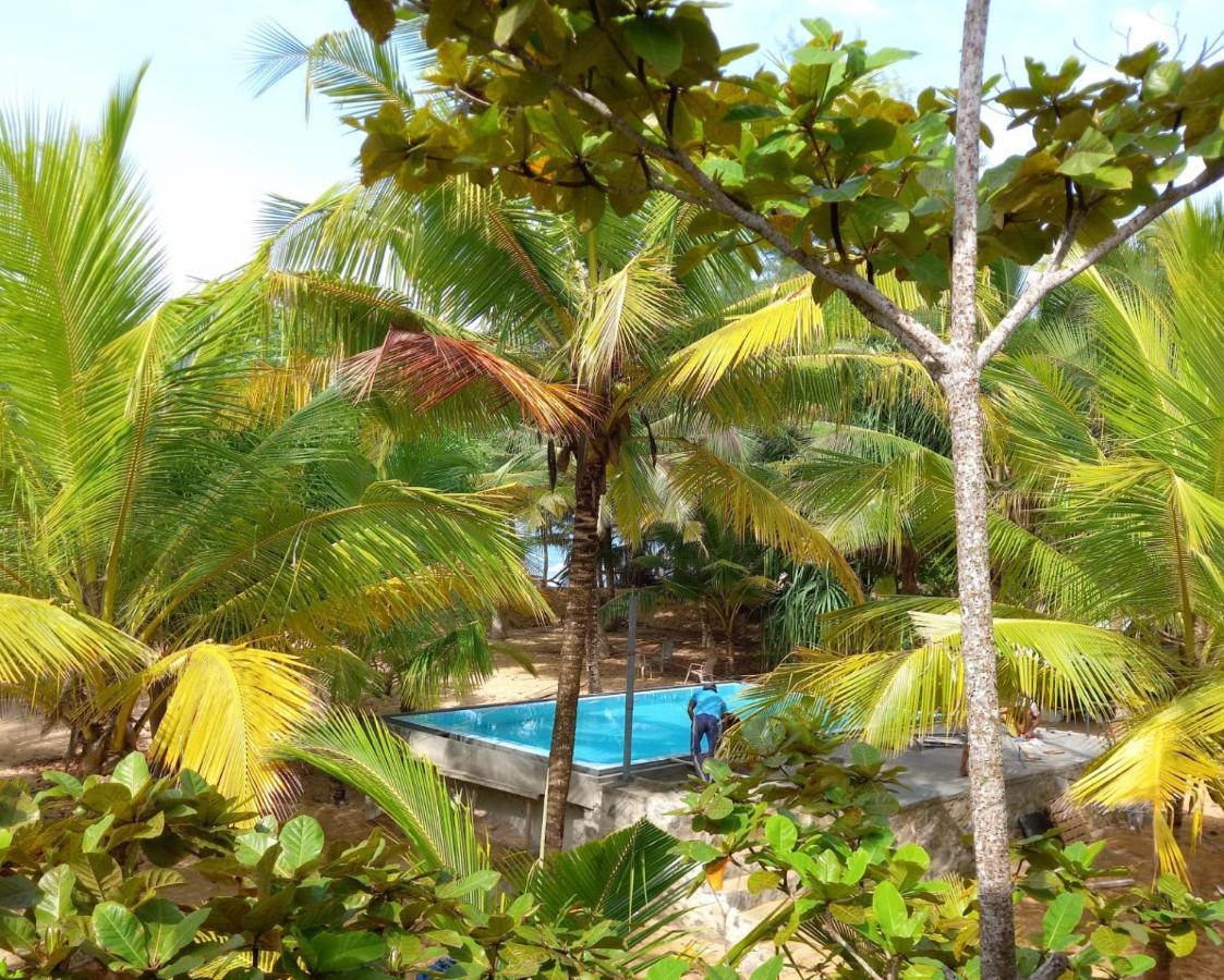 タンガラTropical Gardenアパートメント エクステリア 写真